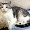 Thumbnail of related posts 027